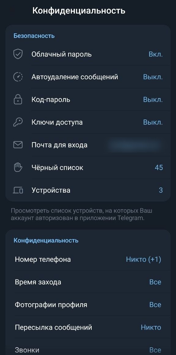 Раздел «Конфиденциальность и безопасность» в Telegram: облачный пароль включён, почта для входа привязана