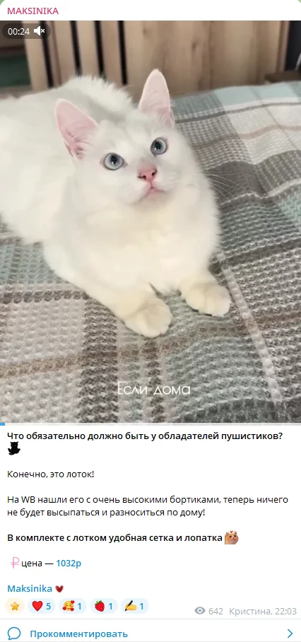 Скриншот поста из канала Максиника